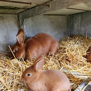 La Ferme De Lec'h Hameury Plestin-les-Grèves